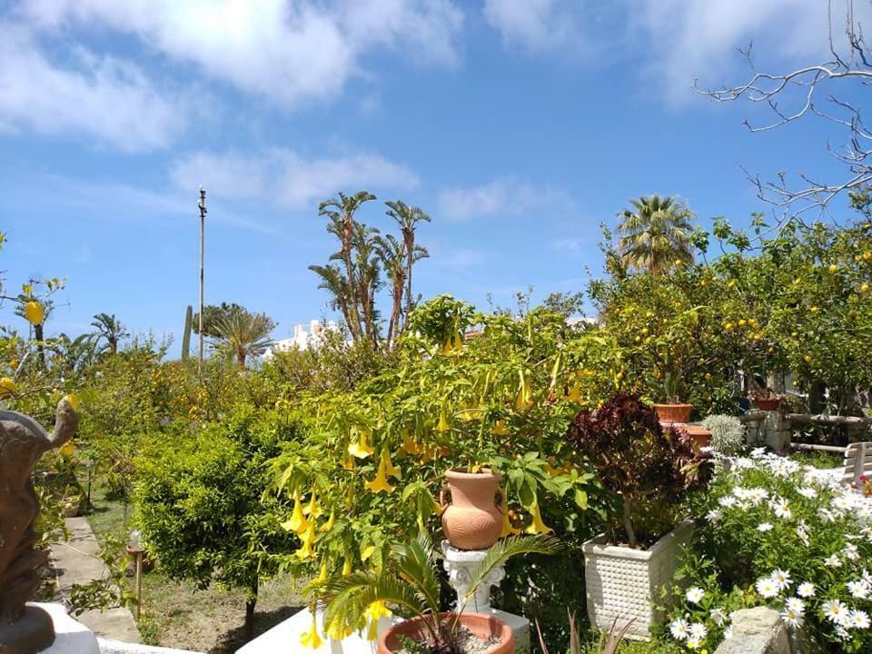 Residence Limoneto Ischia Forio di Ischia Extérieur photo