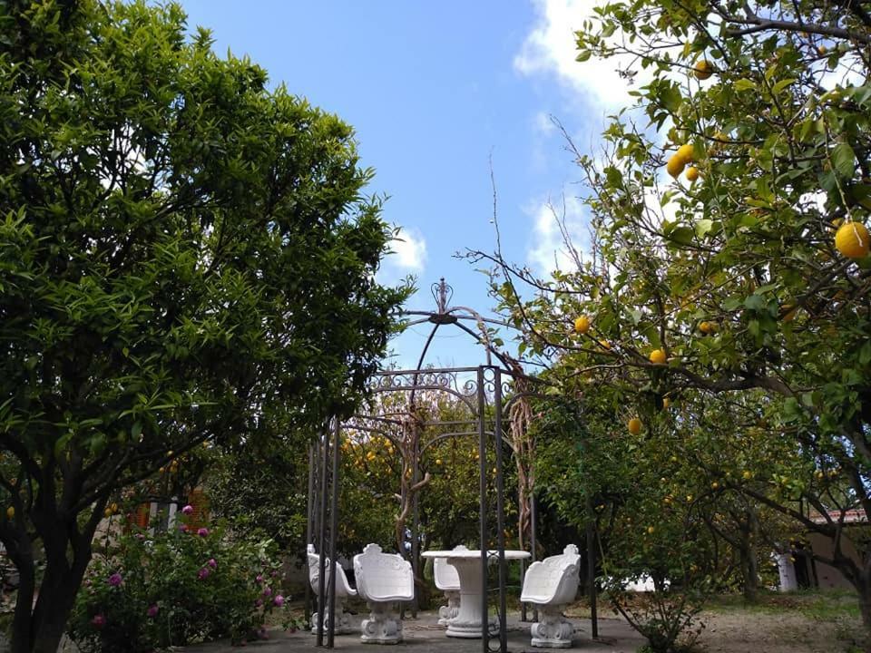 Residence Limoneto Ischia Forio di Ischia Extérieur photo